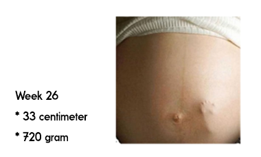 26 weken zwanger afmeting en gewicht